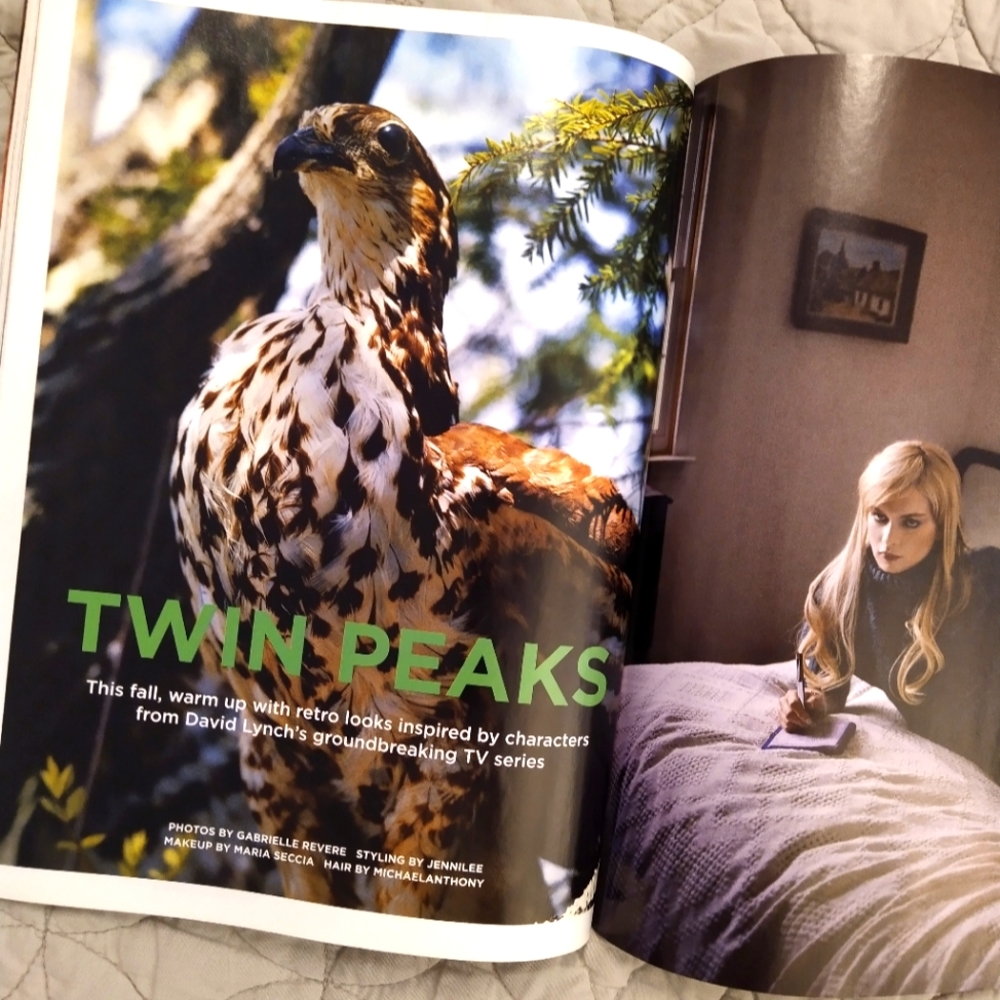 BUST Magazine Twin Peaks, Adele, Eva Amurri, Duffy, Solange Aug/Sept 2008